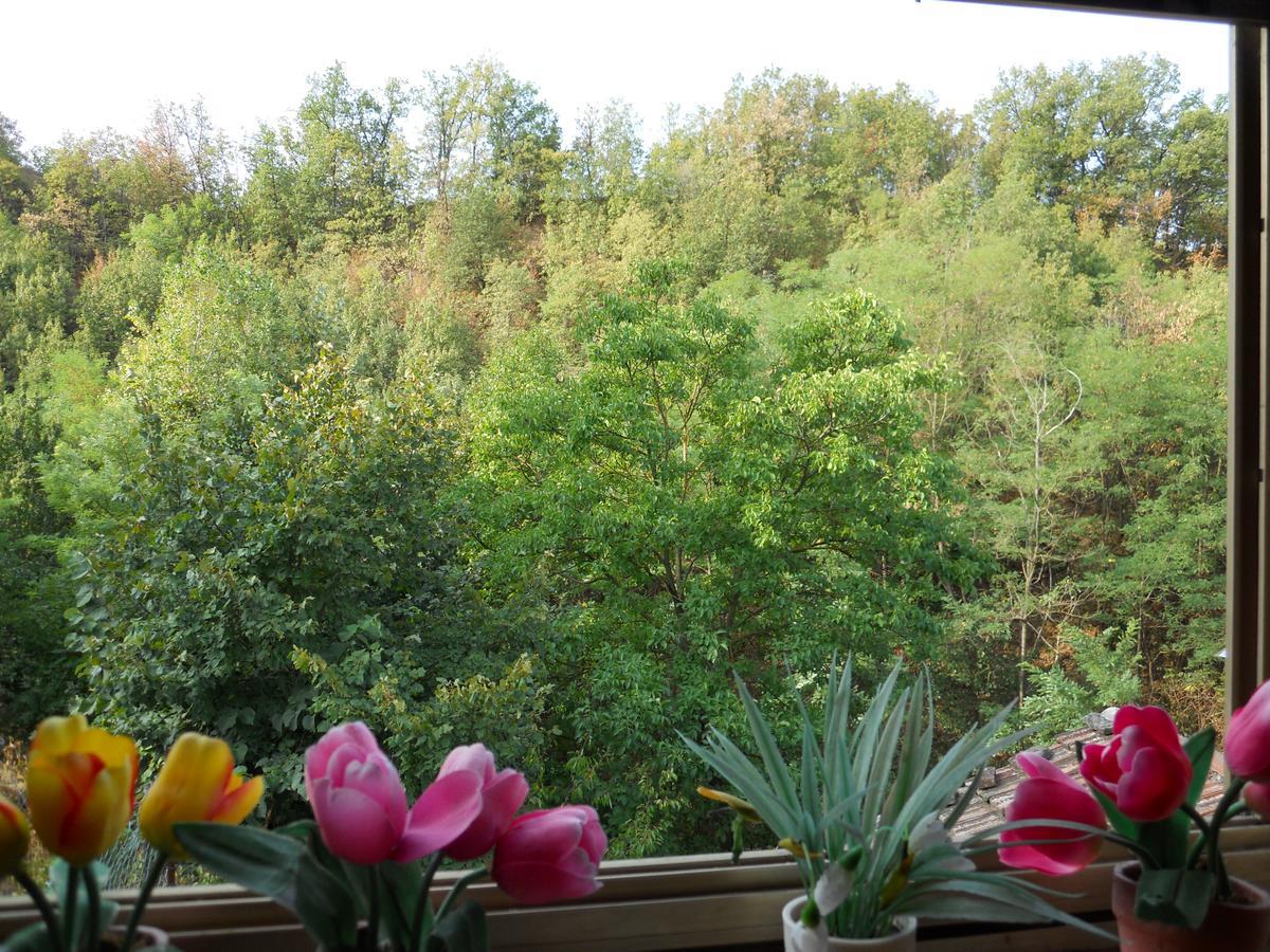 Casa Clotilde Bed & Breakfast Stazzano Екстериор снимка