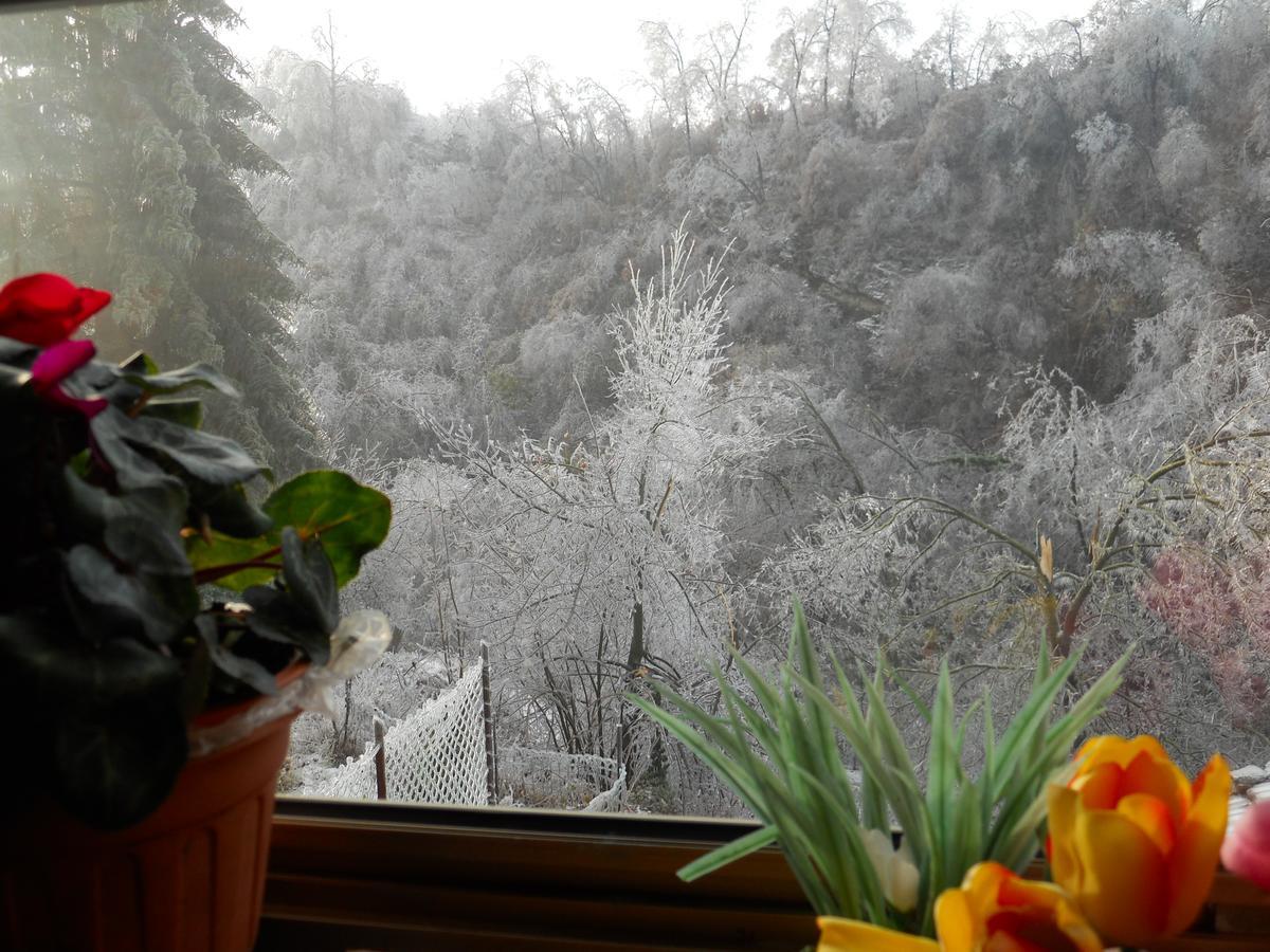 Casa Clotilde Bed & Breakfast Stazzano Екстериор снимка