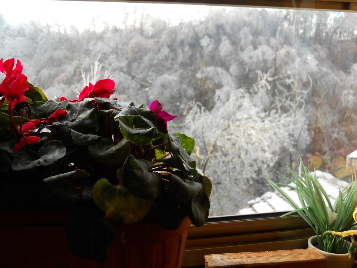 Casa Clotilde Bed & Breakfast Stazzano Екстериор снимка